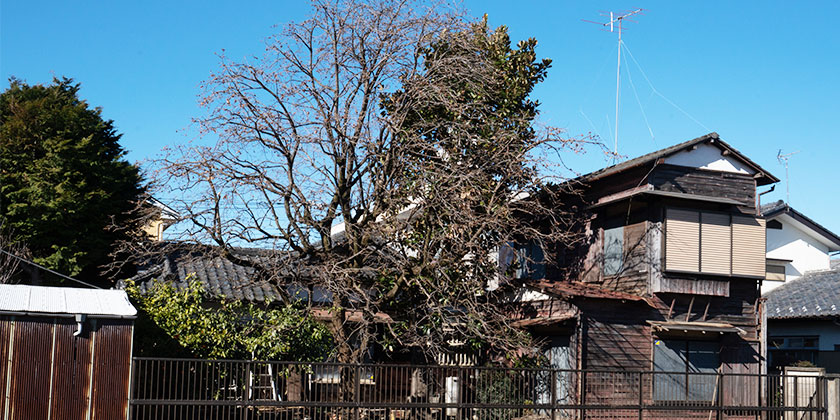 3.足利市にお住まいのM様が、「法的に確実な遺言書を作成できた事例」